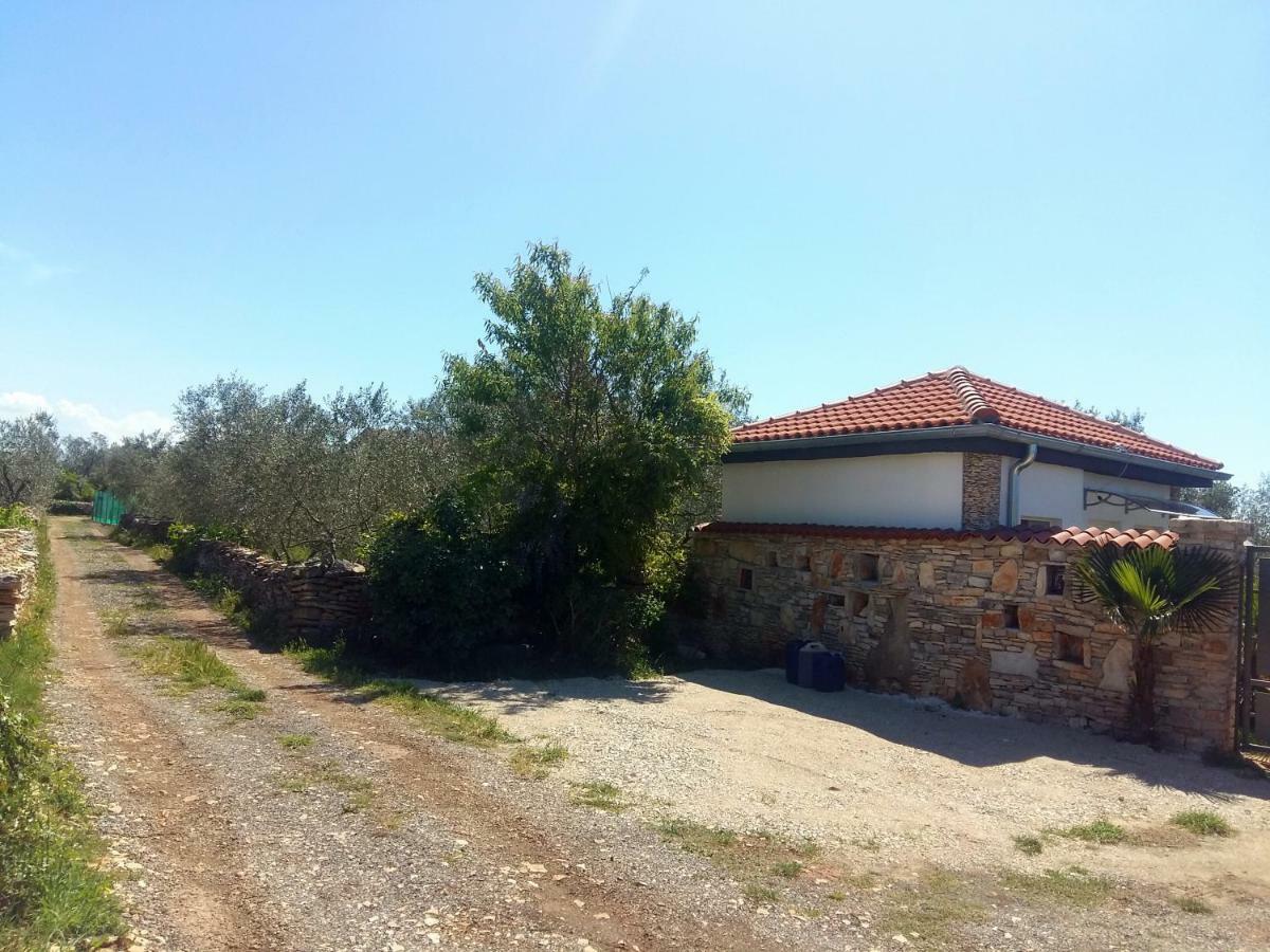 Studio Apartman Vortex Fazana Exterior photo